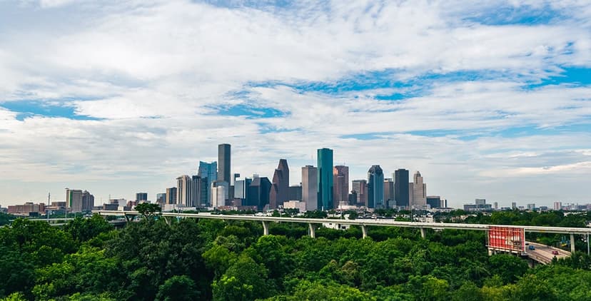 Rice Study Shows Asian Americans Are Houston's Fastest Growing Group